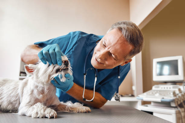 Best Mobile Emergency Dentist in Lexington, OK